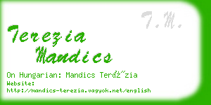 terezia mandics business card